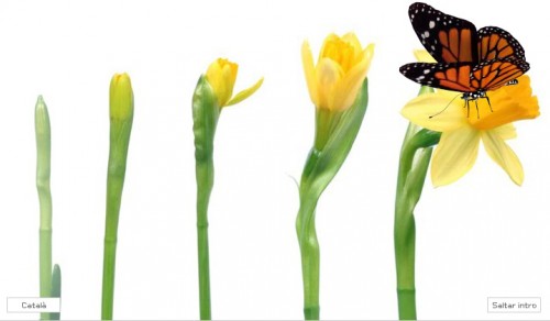 donaperladona[1]